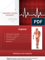 Carp Mariana-AMTAP-Clasificarea-şi-structura-muşchilor