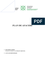 Plan de Afaceri