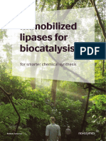 Biocatalysis Brochure Immobilised Lipases
