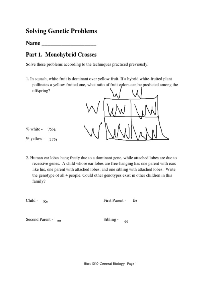 Solving Genetic Inheritance Problems | PDF | Dominance (Genetics ...