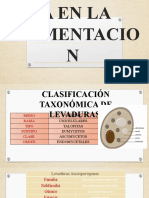 IA en la clasificación y fermentación de levaduras