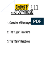 Photosynthesisi - Overview