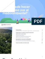 E-Book Que Puede Hacer La Empresa Por El Medio Ambiente