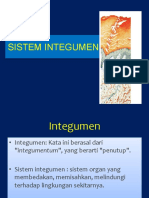 Sistem Integumen