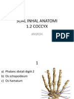 Soal Inhal Anatomi