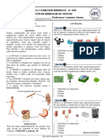 Atividade 2 - CIE