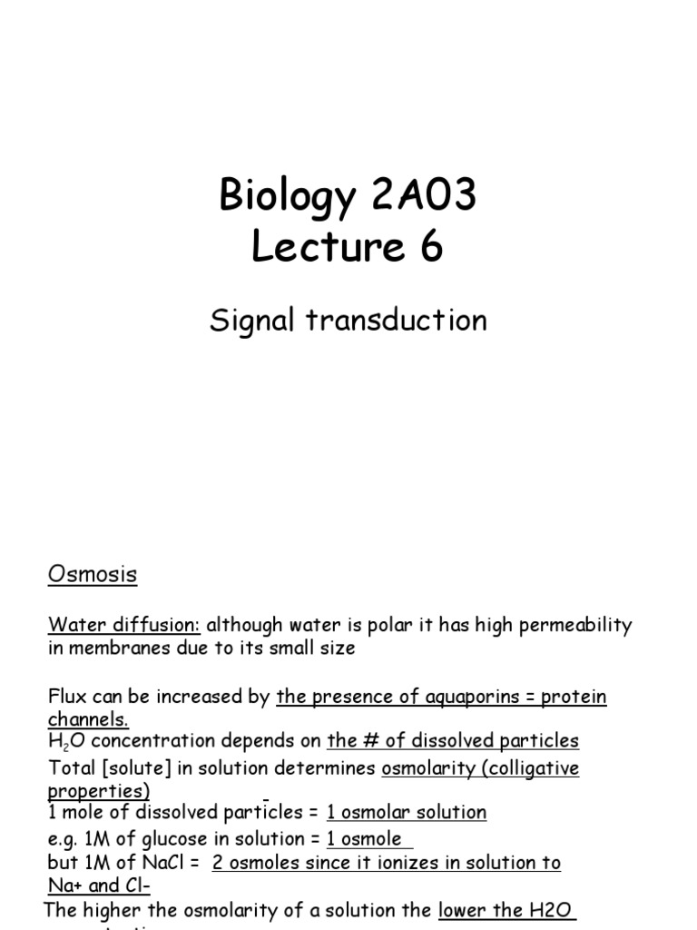 Biology 2A03: Signal Transduction | PDF | Receptor (Biochemistry ...