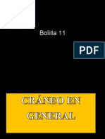 Bolilla 11