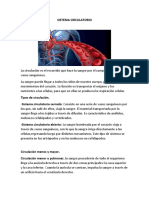 Sistema Circulatorio