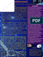 poster control integrativo pdf