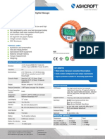 DG25 General Purpose Digital Gauge: Data Sheet