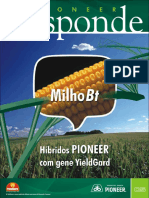 Milho Pioneer BT - Refugio