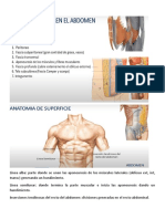 CLASE 6 Abdomen