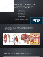 Kelainan Dan Penyakit Pada Sistem Ekskresi