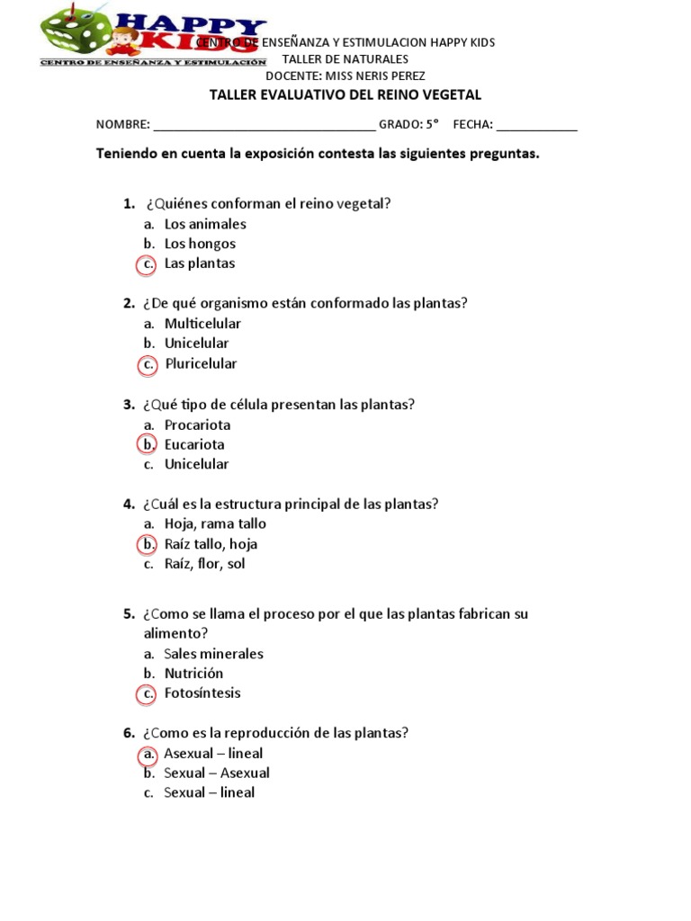 Taller Evaluativo Del Reino Vegetal | PDF
