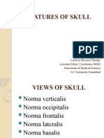 Features of Skull (Normas)