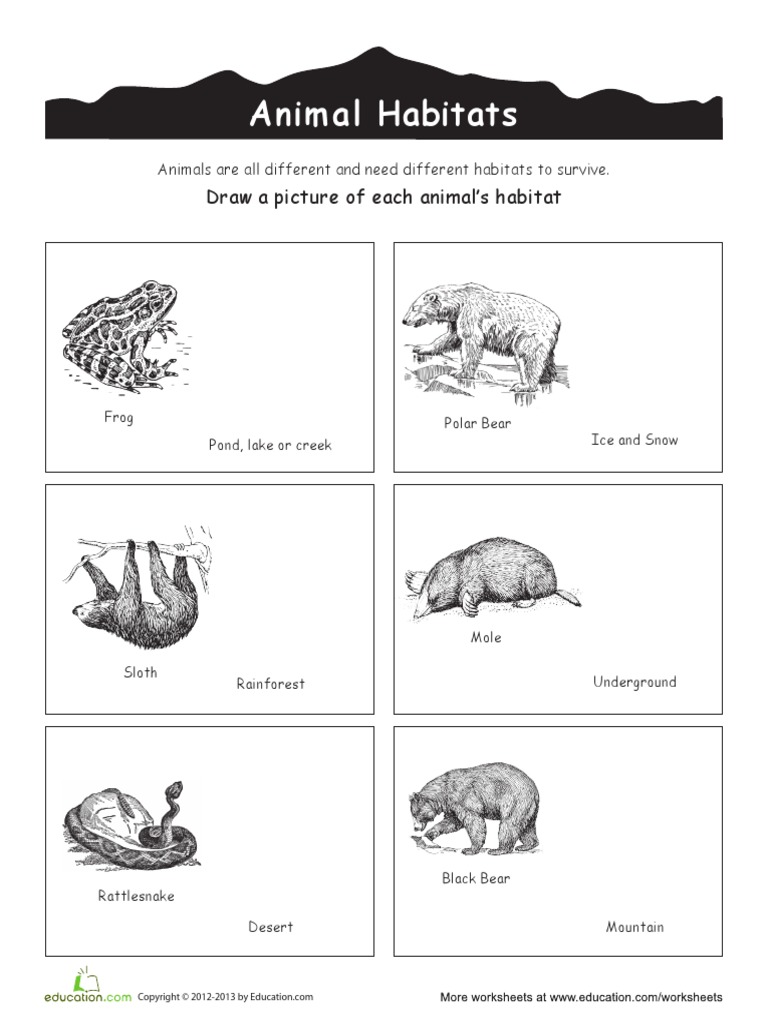Animal Habitats Draw A Picture of Each Animal S Habitat PDF