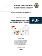 Trabajo Grupal Productos Domesticos Potencialmente Toxicos Final