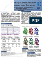 Modelagem molecular de N-metiltransferases da via biossintética da cafeína do guaranazeiro ( Paullinia cupana var. sorbilis (Mart.) Ducke)