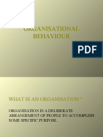 Organisational Behaviour PG 1