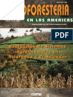 CATIE - Agroforestería en Las Américas