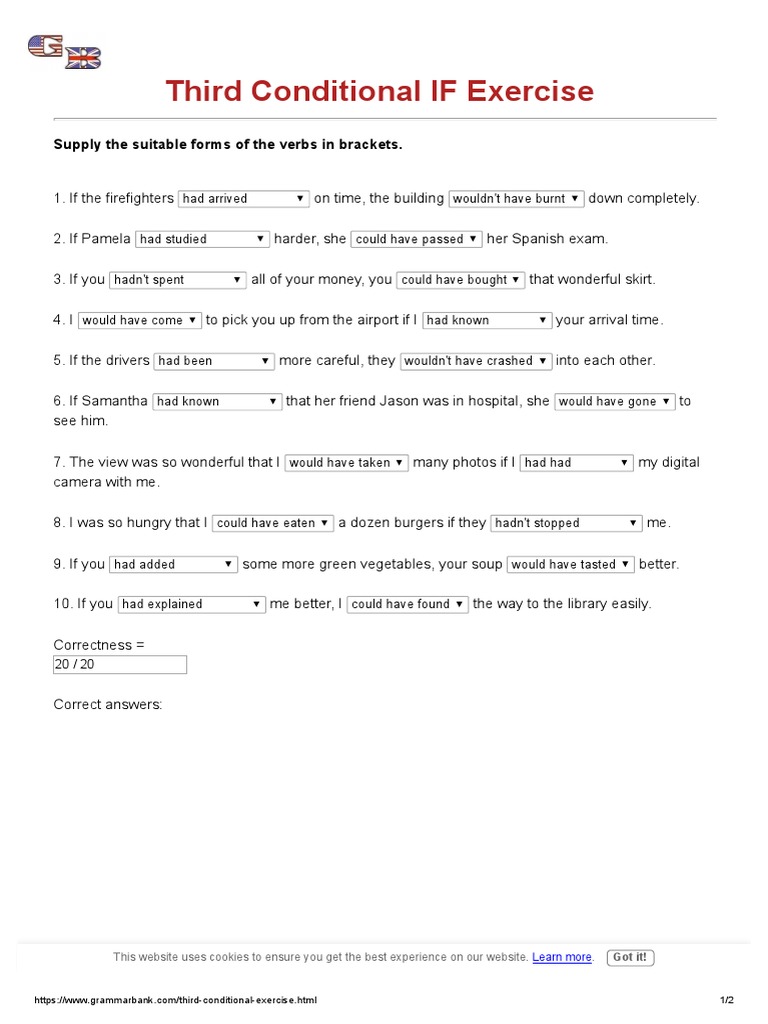 Third Conditional IF Exercise - GrammarBank | PDF