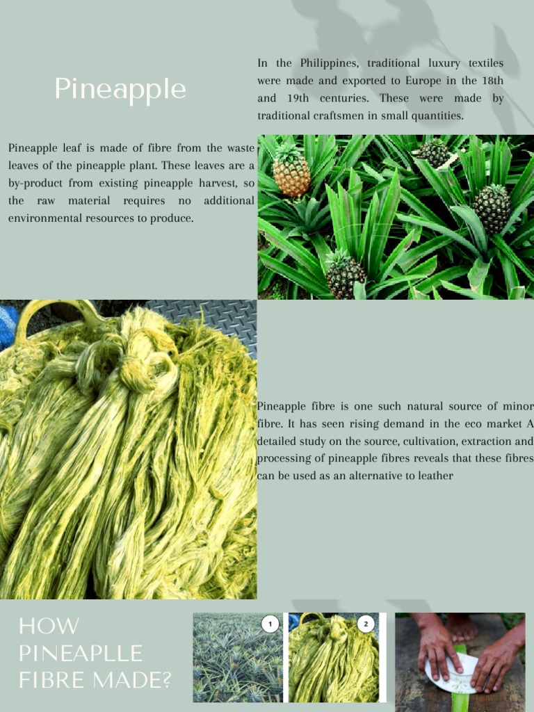 PINEAPPLE&SPANDEX PDF Fibers Textiles