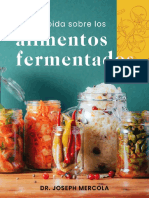 Fermented Foods Guide Es