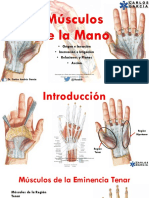 Anatomia Musculos de La Mano Por Carlos Andres Garcia 1 Downloable