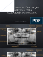 Estructuras Anatomicas Radiografias Extraorales.