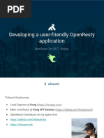 Developing A Friendly Openresty Application