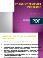 USG Trimester 2 & 3 Patologis