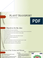 Plant Transport