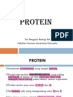 Protein