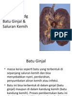 KP 3 KMB - Copy of Askep Klien DG Batu Ginjal & Saluran Kemih