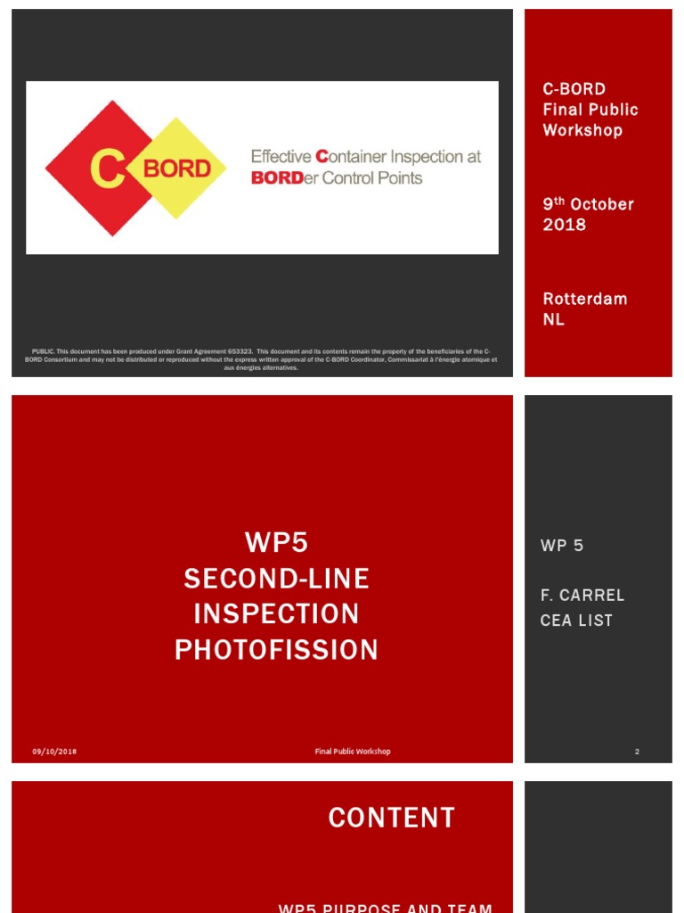 Effective Container Inspection at Border Control Points | PDF | Nuclear ...