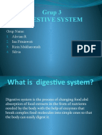 Grup 3 Digestive System: Grup Name: Alivian R Ina Fitniawati Ririn Mukharomah Silvia