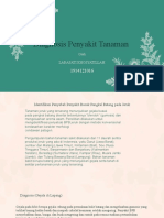 Larasati Khosyatillah - 1914121016 - Diagnosis Penyakit Tumbuhan