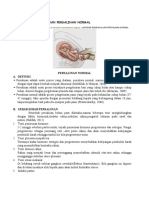 Dokumen - Tips Laporan Pendahuluan Persalinan Normaldocx