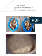 Relatorio de Sereais e Tuberculos de Bafata