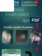 Exposicion Fichasfamiliares