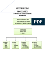 Struktur Organisasi PPKM