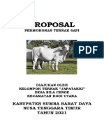 Proposal Ternak Sapi