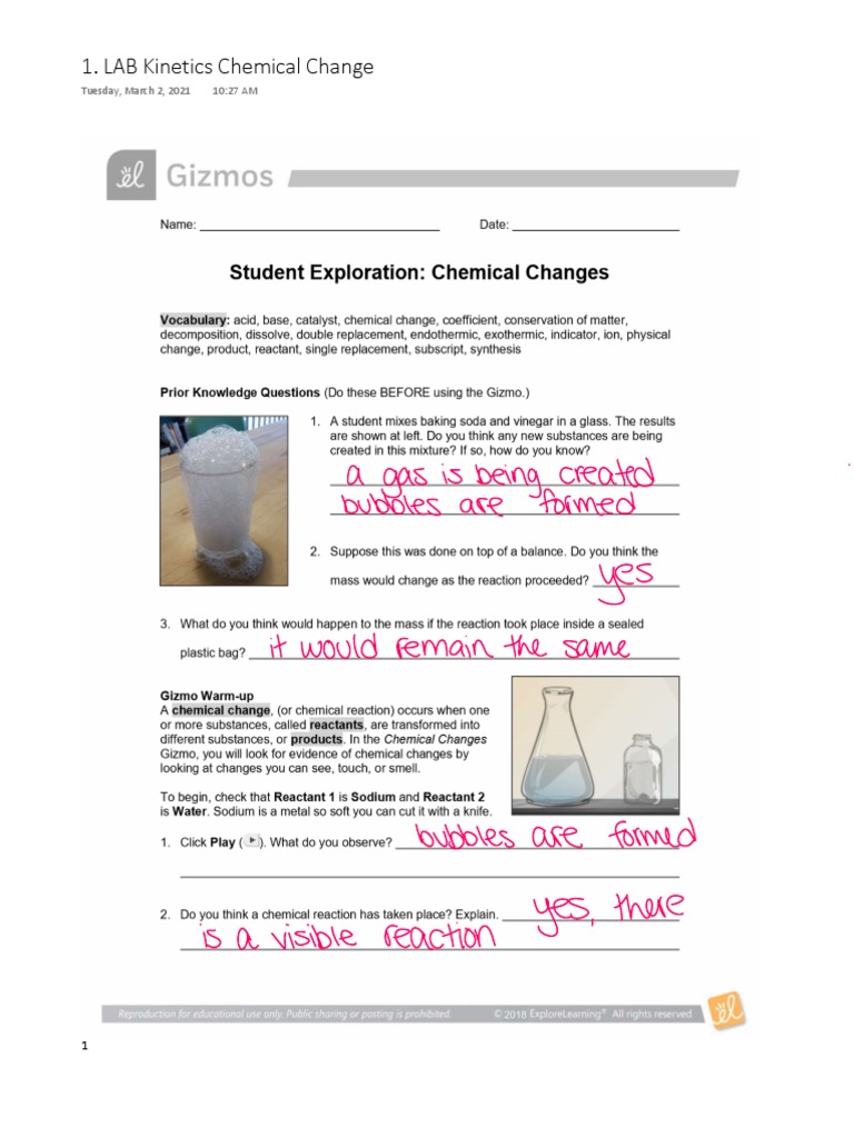 Chemical Changes Lab PDF