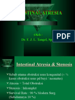 INTESTINAL ATRESIA