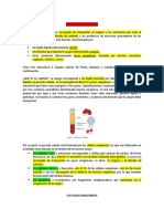 Guia Sistema Circulatorio 1