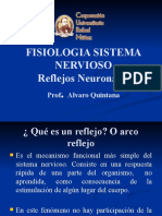 Fisiologia S. Nervioso - Reflejos Neuronales