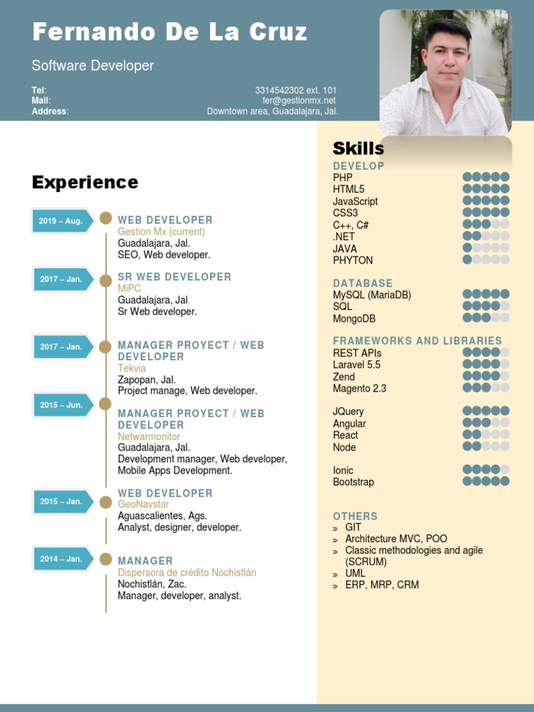 Fernando De La Cruz: Web Developer Profile | PDF | Computer Programming ...