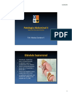Patologia Abdominal III