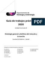 guiapractica2020BCC2 - practico4